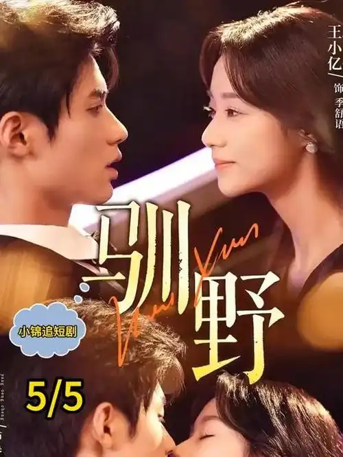 无名之辈2025 热播电视剧
